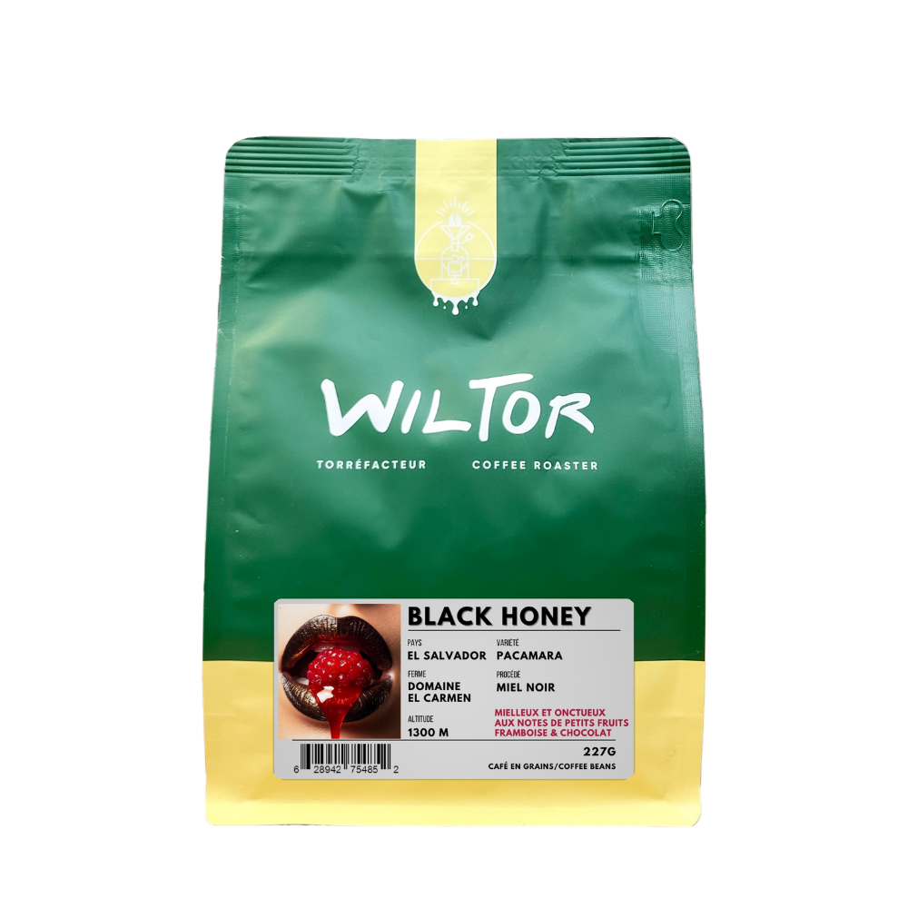 Black Honey Salvador - Image 3