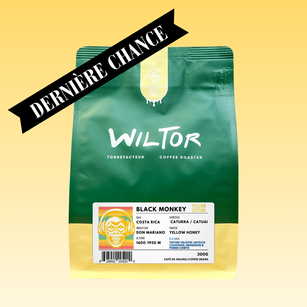 Costa Rica Black Monkey - Yellow Honey Edition