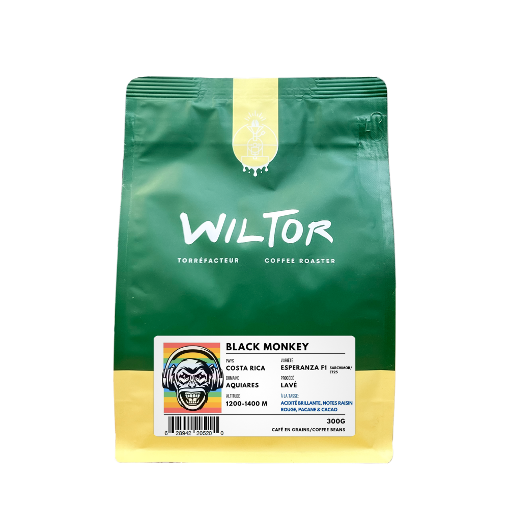 Costa Rica Black Monkey