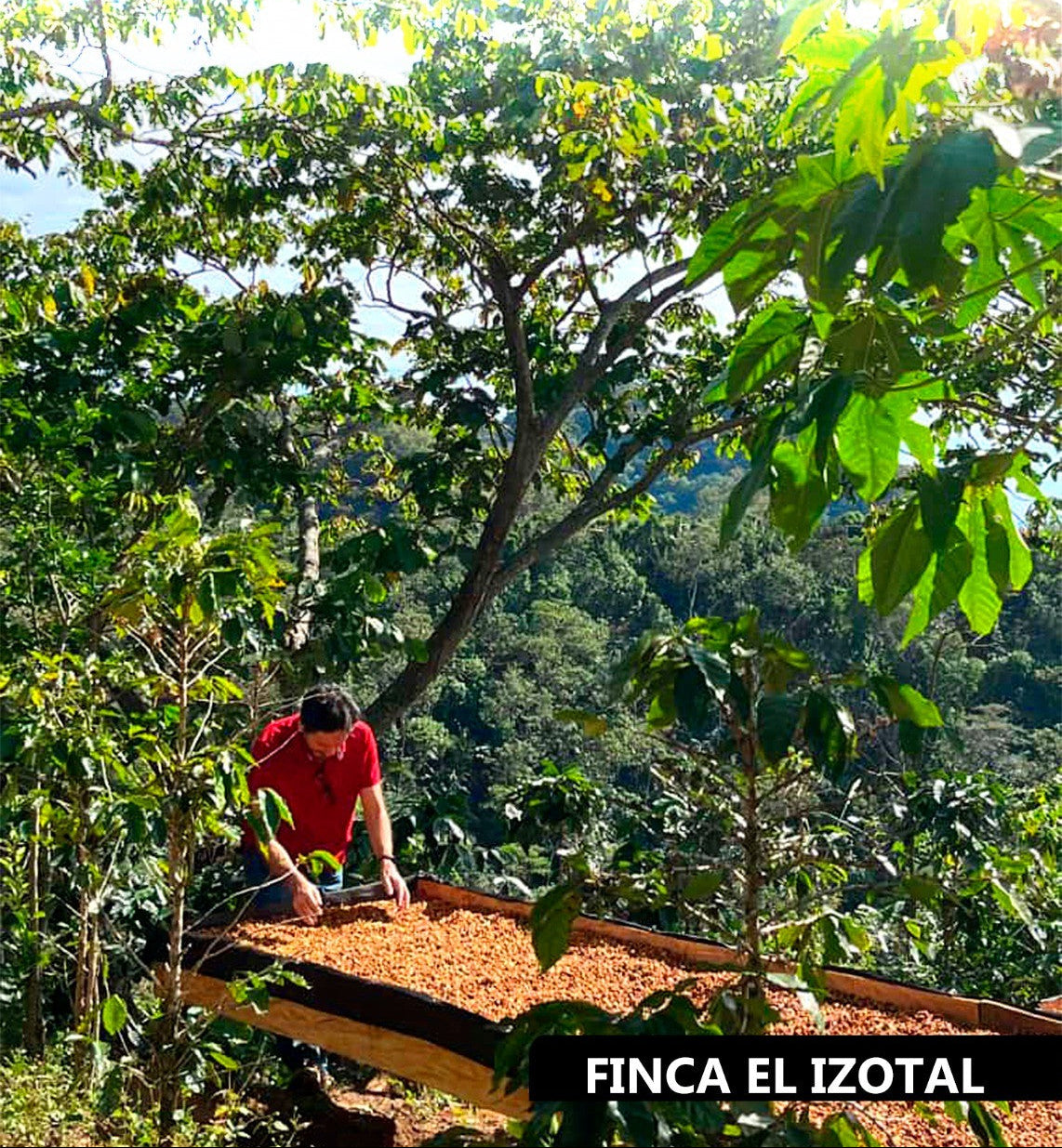 Anaérobie - Image 2