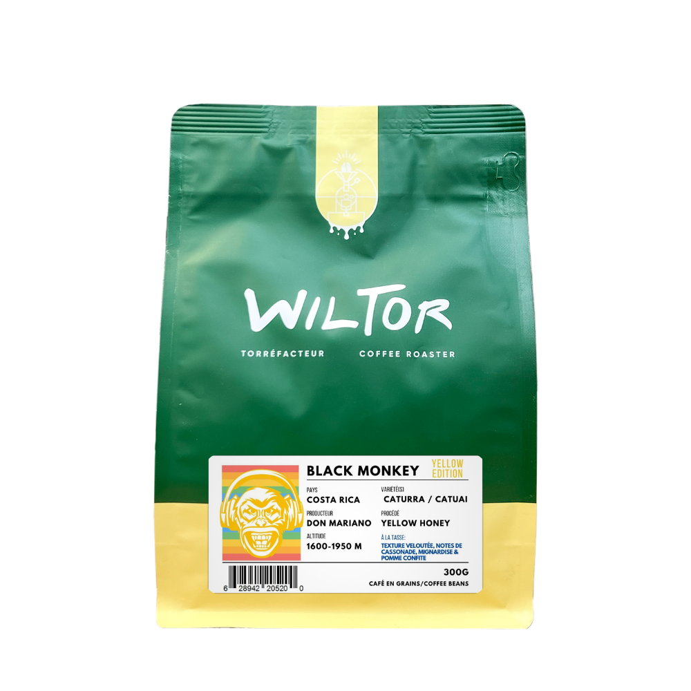 Costa Rica Black Monkey (Yellow Honey Edition) - Image 2